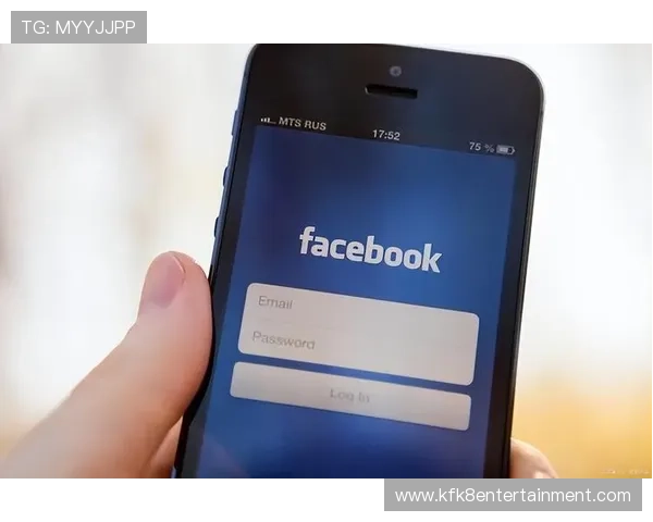 详细解析k8凯发官方网站入口的安全验证流程与账号保护措施